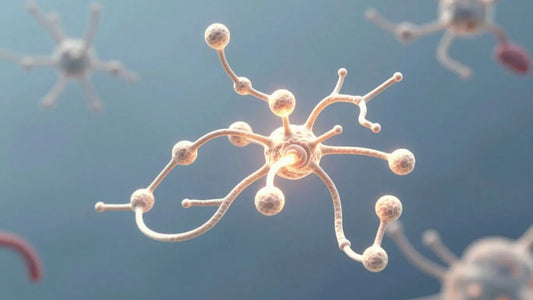 Abstract peptide and neural pathways illustration.