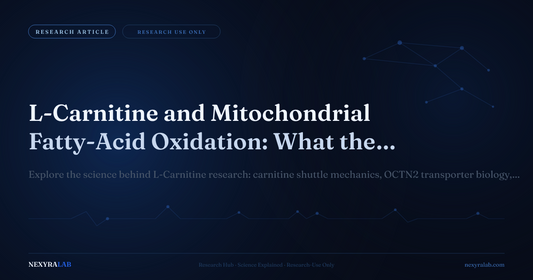 L-Carnitine and Mitochondrial Fatty-Acid Oxidation: What the Research Shows